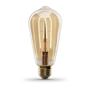 Feit Electric 60-Watt Equivalent ST19 Dimmable Spiral Filament Amber Glass  E26 Vintage Edison LED Light Bulb, Warm White ST1960/S/LED/HDRP - The Home  Depot