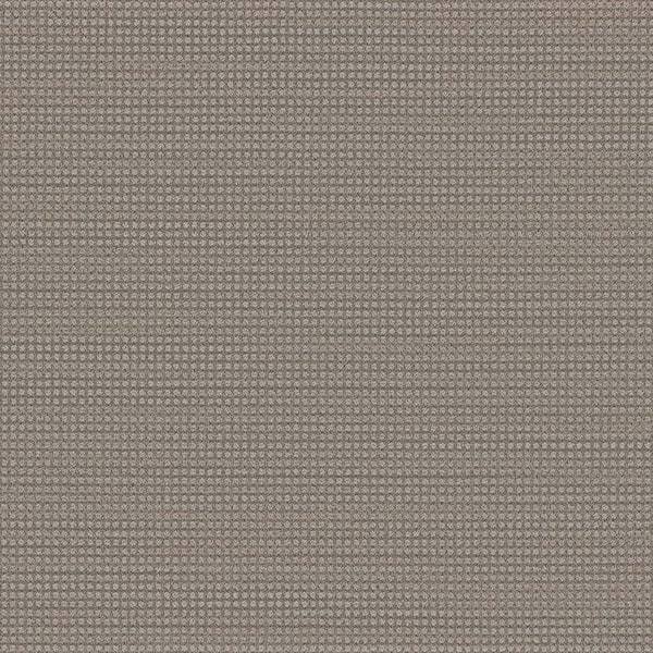 Thornbrook - Elite - Beige 45 oz. TwistX SD PET Loop Installed Carpet