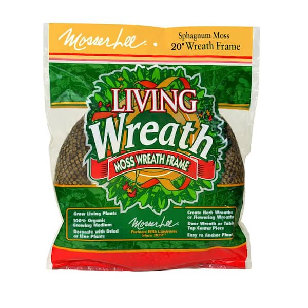 20 in. Living Wreath