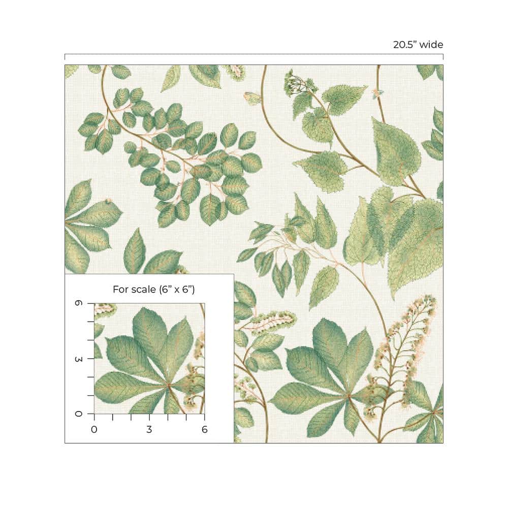 Willow Green Botanical Peel and Stick Vinyl Wallpaper