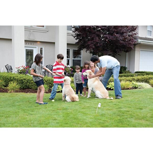 petsafe wire and flags