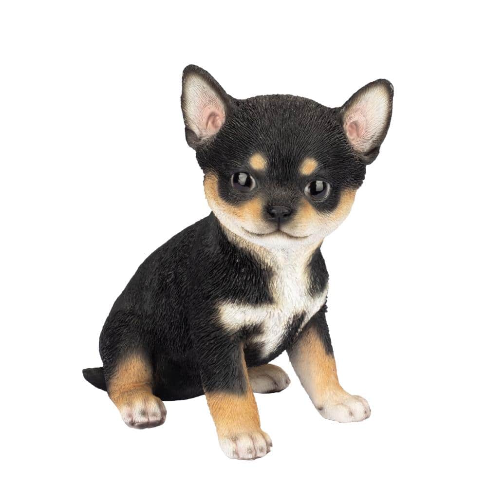 SoReal Black Chihuahua price history on PriceWatchPro