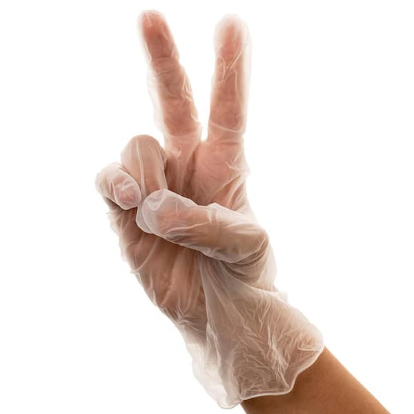 Large, Disposable Vinyl Food Preparation Gloves, Multi-Purpose, Powder and Latex Free, 9.5 in. Clear (1000-Pack)
