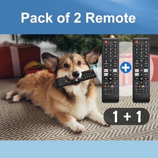 Tv Remote Retriever
