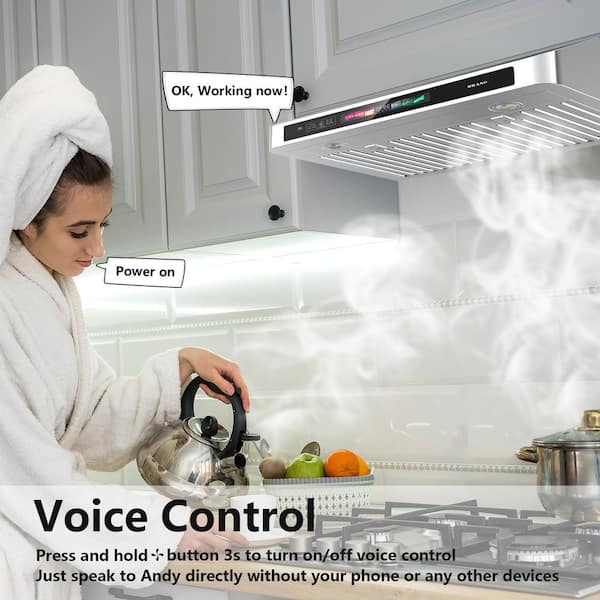 30 in. W Under Cabinet 900 CFM Range Hood in Silver 4-Speed