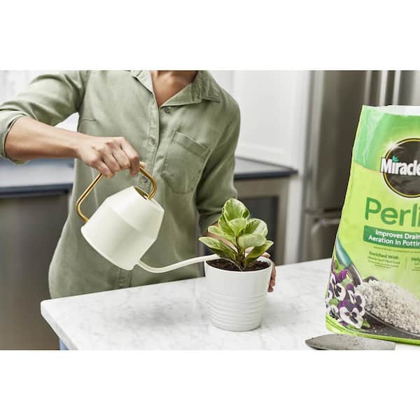 Miracle-Gro 8 qt. Perlite Soil 74278430 - The Home Depot
