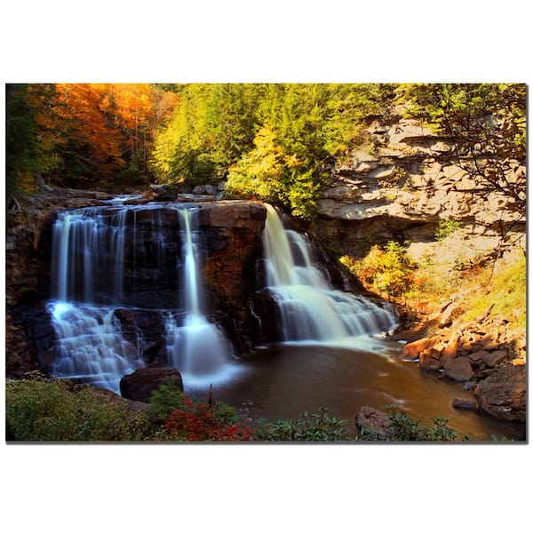 Trademark Fine Art Motion by CATeyes Floater Frame Nature Wall Art 24 in. x 16 in.