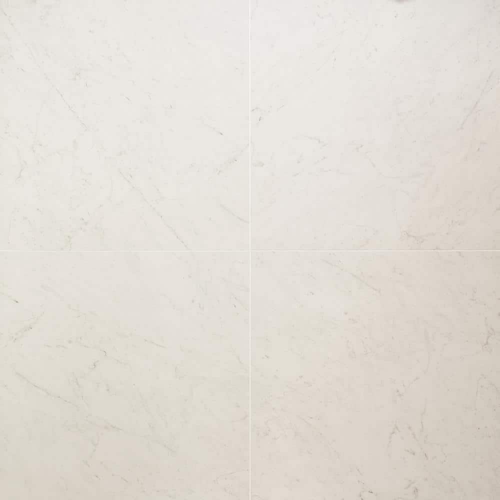 Saroshi Carrara Giola 4 in. x 0.31 in. Matte Marble Look Porcelain Floor and Wall Tile Sample price history on PriceWatchPro
