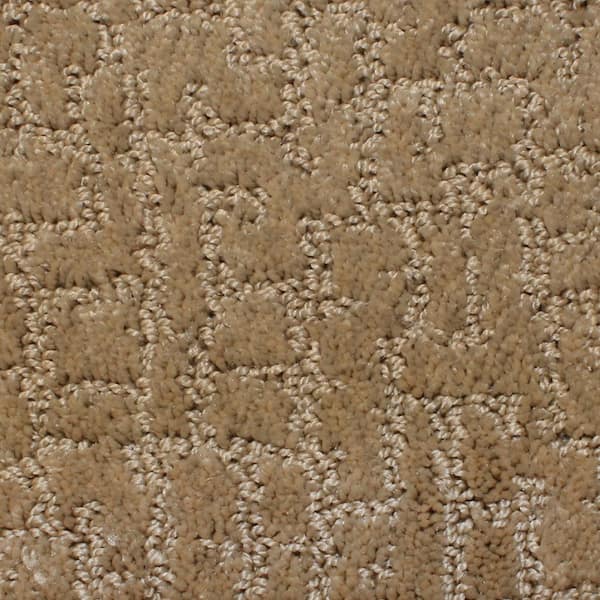 Home Decorators Collection Carpet Sample - Weeping Willow - Color Tarragon Pattern 8 in. x 8 in.