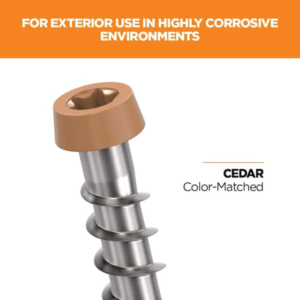#10 2-1/2 in. 316 Stainless Steel Star Drive Cedar Composite Deck Screws (1750-Count)