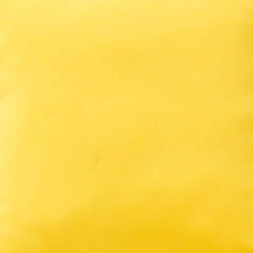 Sunbeam Yellow Rectangular Outdoor Throw Pillow Set, Fade and Water Resistant