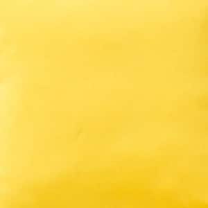 Solid Sunbeam Yellow Lumbar Outdoor Throw Pillow (2-Pack)