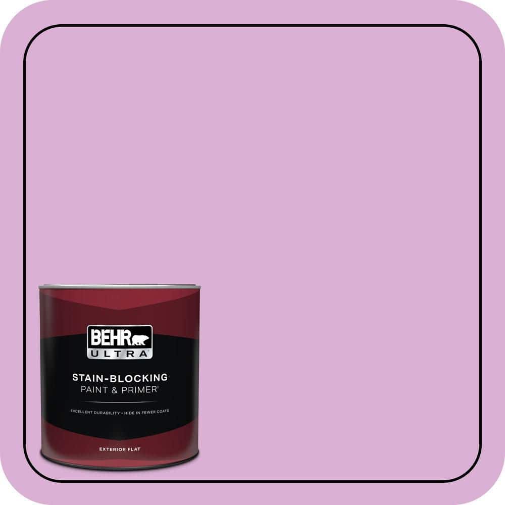 1 qt. #P110-3 BFF Flat Exterior Paint & Primer price history on PriceWatchPro