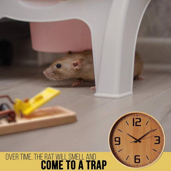 24 Pcs Mouse Traps Plastic Mice Trap House Indoor Rat Trap Quick Effective  Safe