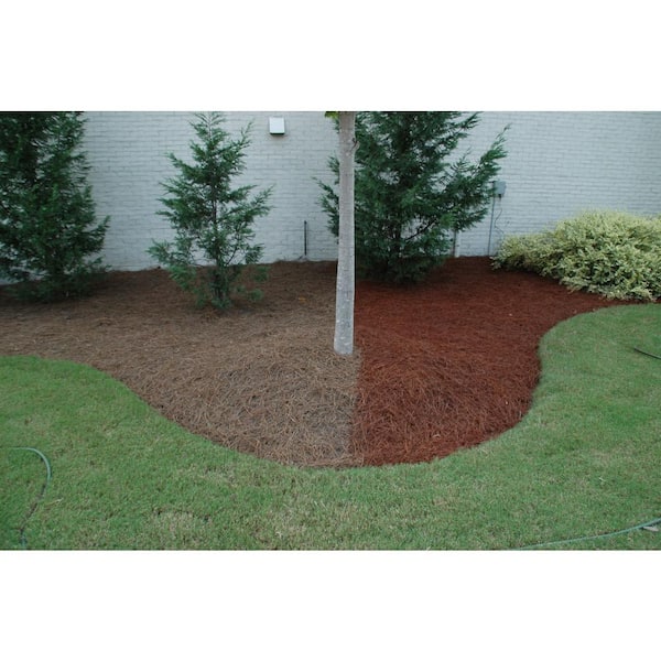 Pine Needles  Cleanstraw - Mulch Depot