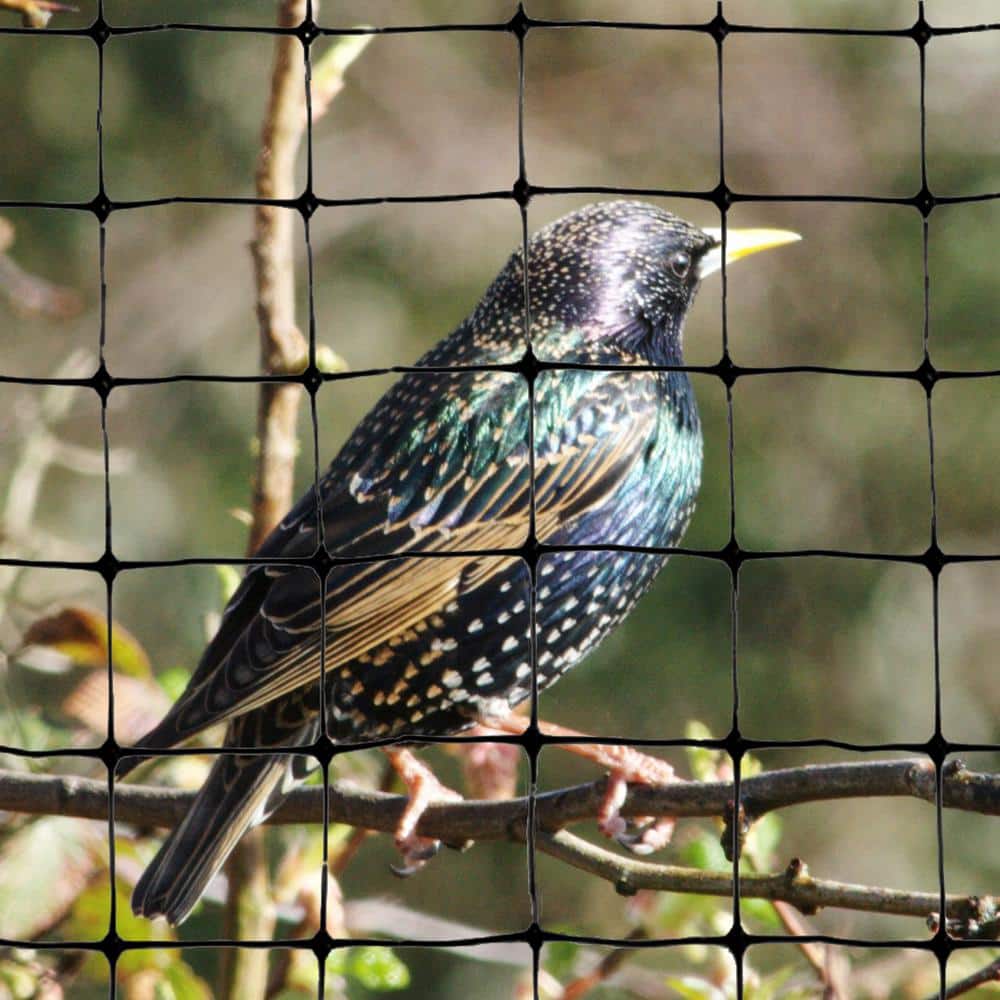 Bird Net India, Anti Bird Netting, Bird Control Net, Pigeon Control Net