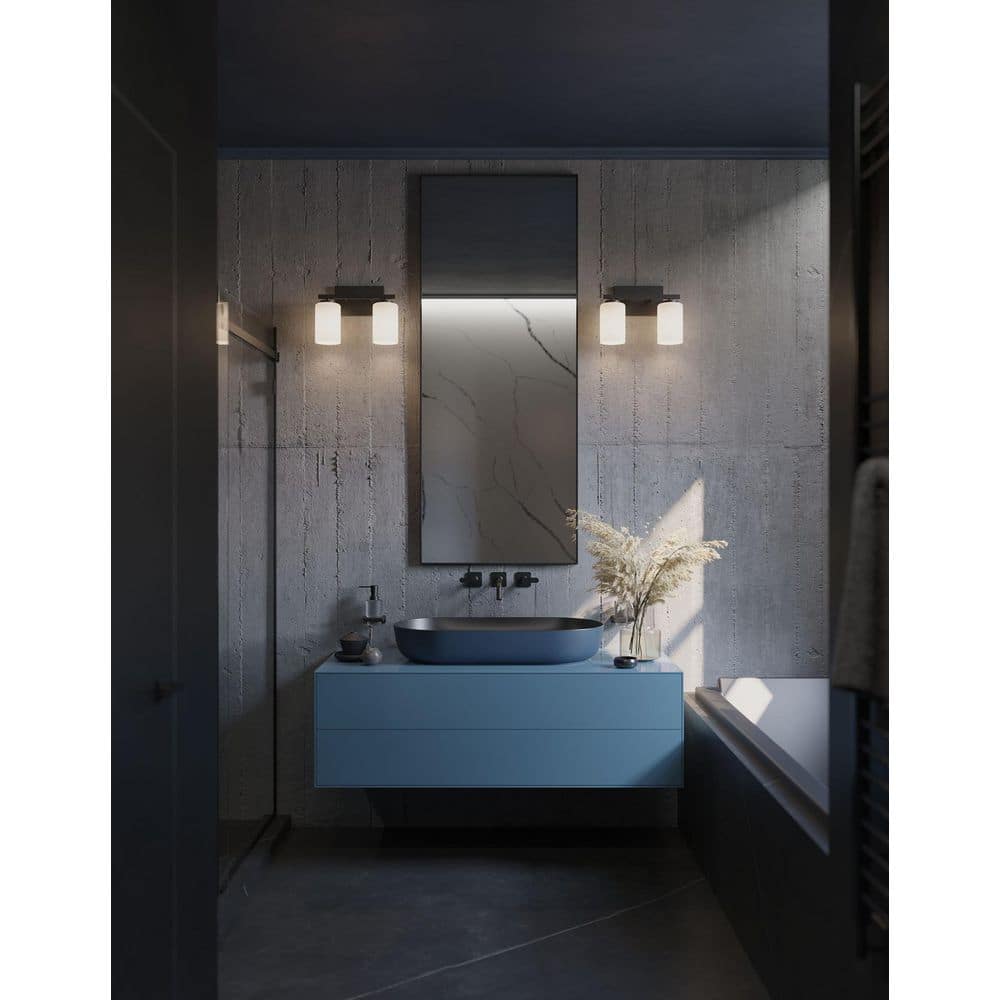 Leo 13 in. 2-Light Black Vanity Light with Clear Glass Shade price history on PriceWatchPro