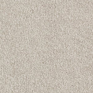 Tides Edge - Magnolia Beige 50 oz. Triexta PET Texture Installed CarpetCarpet