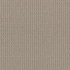 Amaryllis-Neon Beige-35 oz. SD Polyester Pattern Installed Carpet