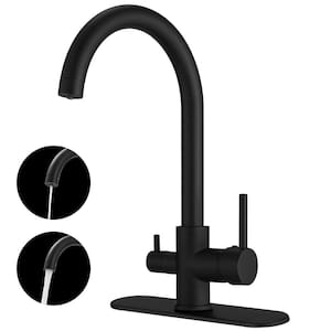 Double Handle Hole 2-Handle Water Filter Purifier Faucets Kitchen Beverage Faucet Water Filtration System in Matte Black