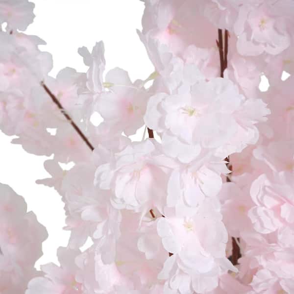 ★OTZ★3300 HI_BLOSSOM MIX CHECK★大人気★ Online Orchards Yoshino Cherry Blossom Tree Bare Root