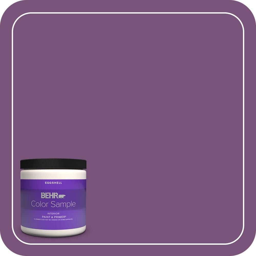 8 oz. #MQ4-62 Birthstone Eggshell Enamel Interior Paint & Primer Color Sample price history on PriceWatchPro