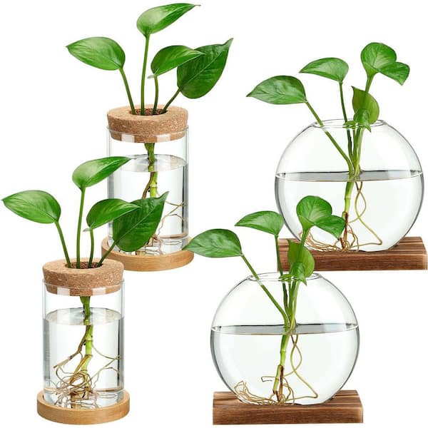 Novelty Clear Glass Separate Desktop Plant Terrarium Glass Planter Vase with Wooden Lid and Bamboo Stand (4-Pieces)