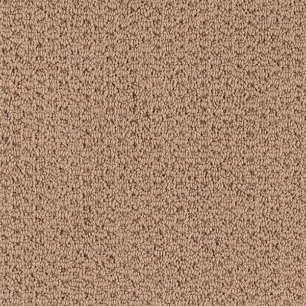 Lifeproof Carpet Sample - Morningside - Color Cedar Chest Loop 8 in. x 8 in.