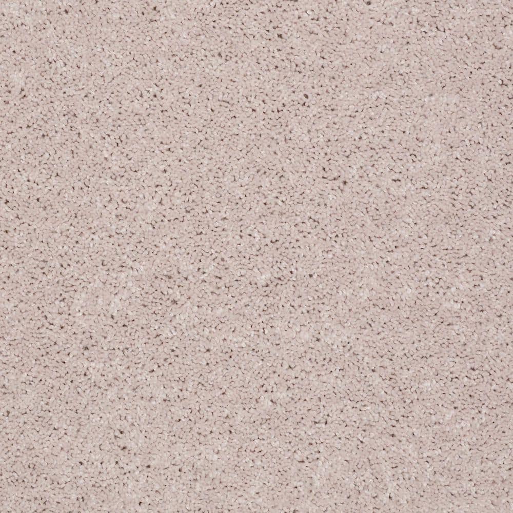 8 in. x 8 in. Texture Carpet Sample - Cottage Comforts - Color Rolled Oats price history on PriceWatchPro