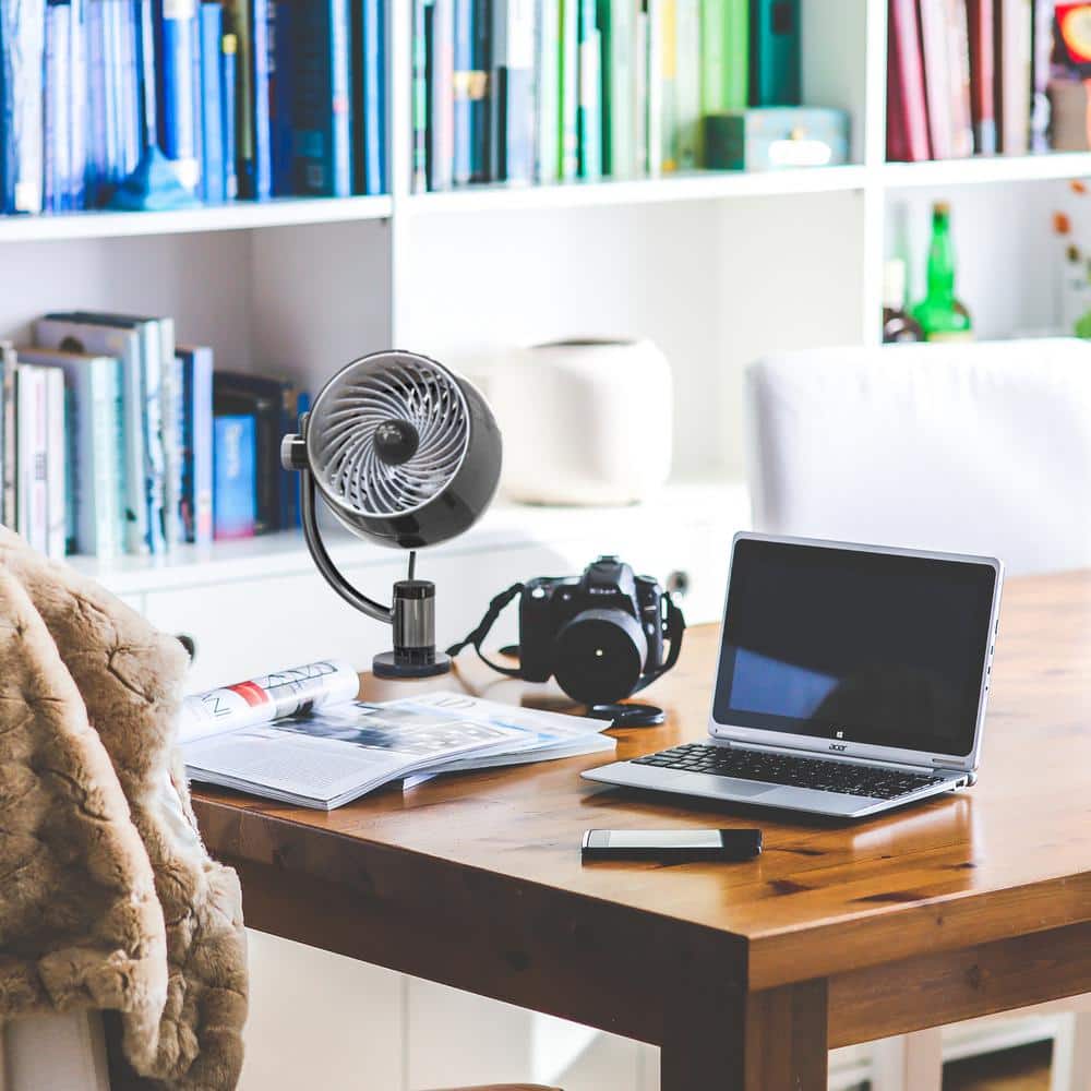 Black Metal Adjustable Desk Clip Fan with Three Speeds