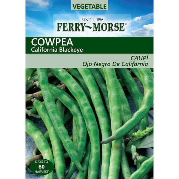 Ferry-Morse Cowpea California Blackeye Seed
