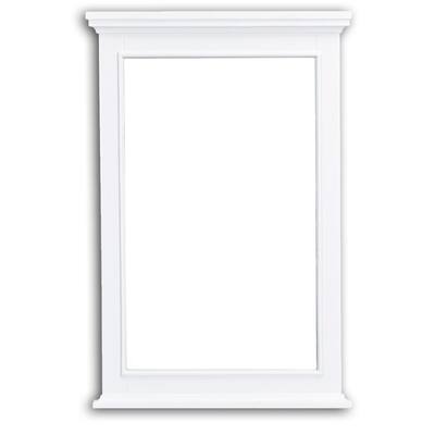 Elite 24 in. W x 36 in. H Framed Rectangular Bathroom Vanity Mirror in White