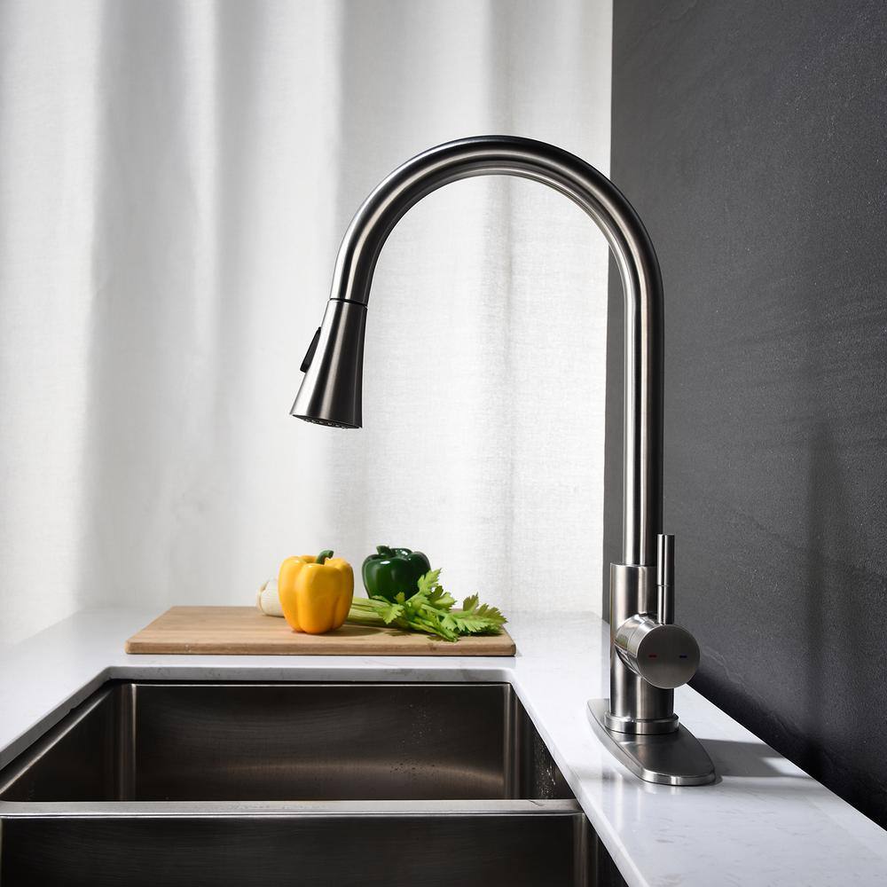 Stainless Steel Single Handle Pull-Out Spray Kitchen Faucet