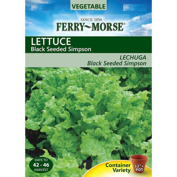 Ferry-Morse Lettuce Black Seeded Simpson Vegetable Seed