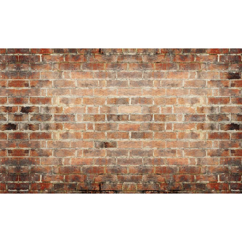Brick View - Weather Proof Scene for Window Wells or Wall Mural - 120 in. x 60 in. price history on PriceWatchPro
