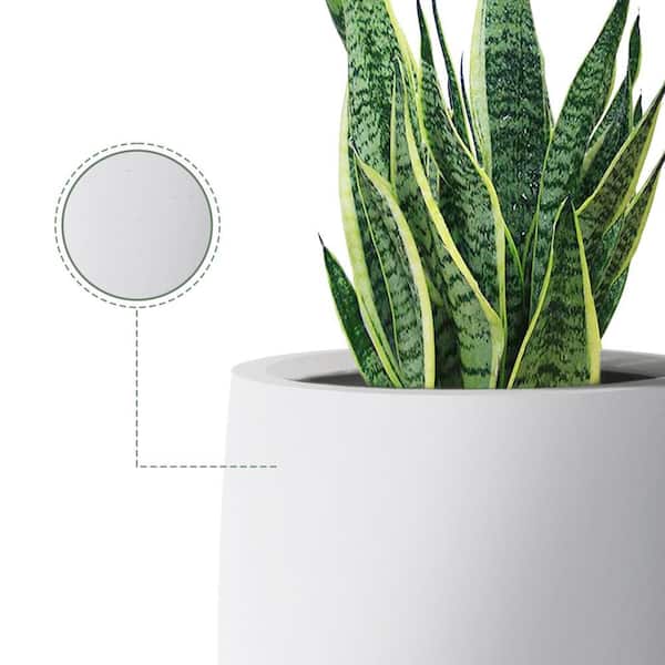 PLANTARA 32 in. and 23.6 in. H Concrete Tall Solid White planter