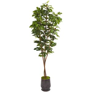 88 in. Fig Artificial Tree in Ribbed Metal Planter