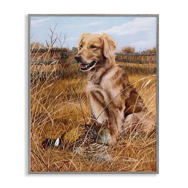 Stupell Industries Hunting Dog & Pheasant by Kevin Daniel Gray Framed Animal Giclee Art Print 14 in. x 11 in.