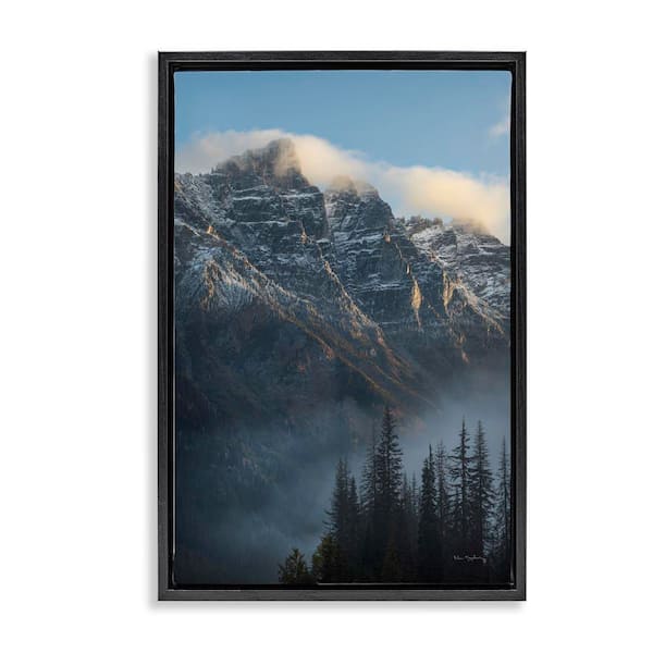 Stupell Industries Mount Tupper Mist by Alan Majchrowicz Black Floater Frame Nature Graphic Art Print 31 in. x 21 in.