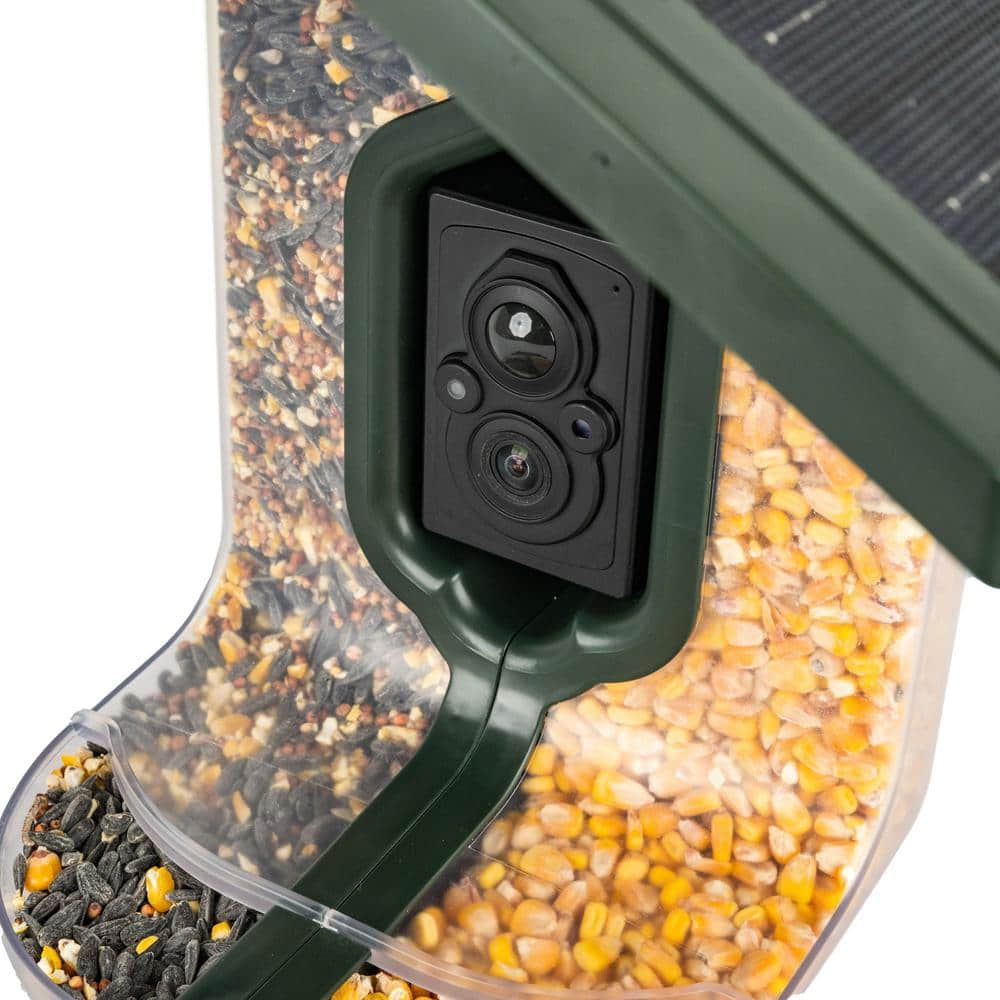 FeatherSnap Scout Wi-Fi Solar-Powered Hanging Tube Bird Feeder