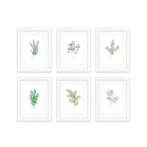 "Nature's Lace 1" by Alyssa Lewis Set of Six White Framed with Mat Nature Art Prints 14 in. x 11 in.