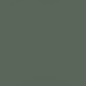 Magnolia Home Hardie Panel HZ5 48 in. x 120 in. Fiber Cement Smooth in Chiseled Green (50-Pack)