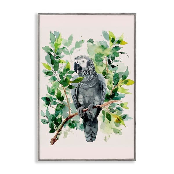 Stupell Industries Tropical Perched Parrot by LSR Design Studio Gray Framed Animal Giclee Art Print 18 in. x 12 in.