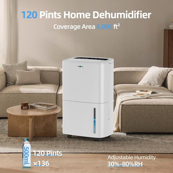 Edendirect - 120 pt. 6,000 sq.ft. Dehumidifier in. White with Large Bucket and Drain Hose for Basement, Garage, with Auto Defrost