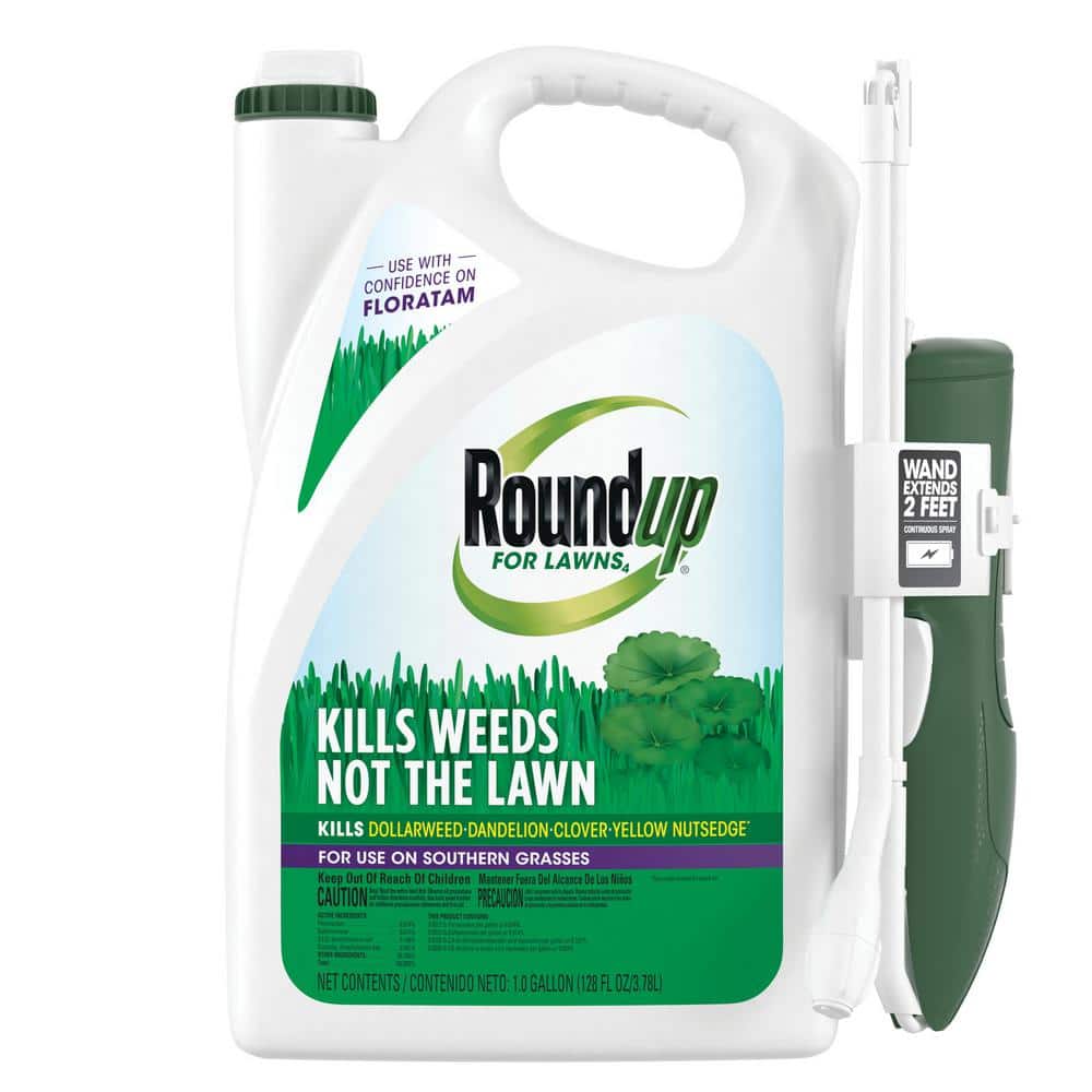 Roundup Roundup for Lawns 4 ReadytoUse Wand 1 Gal. (Southern) 500891005 The Home Depot