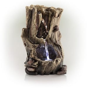 11 in. Tall Indoor Rainforest Tabletop Fountain with LED Lights