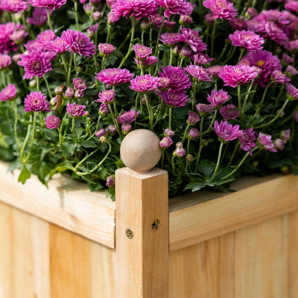 Natural Wood Raised Garden Bed with Trellis for Climbing Plants