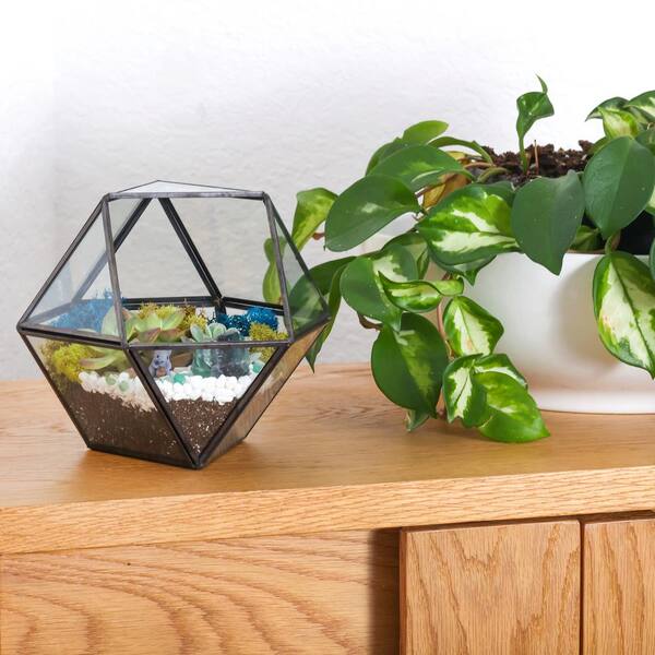 Glass Terrarium - Luckyslife Succulent Geometric Glass Terrarium - good Terrarium Container