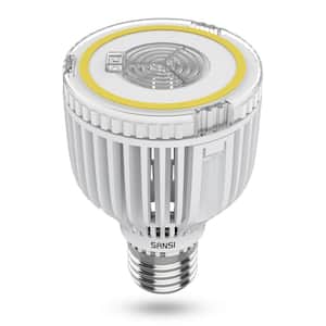 350-Watt Equivalent A19 Energy Saving Non-Dimmable 5500 Lumens E26 LED Light Bulb 5000K Daylight 40-Watt (1-Pack)
