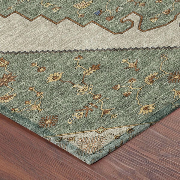 Chantille Machine Washable Indoor/Outdoor Abstract ACN2472 Basil 8 ft. x 10 ft. Area Rug